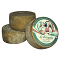 Pecorino Ceneretto